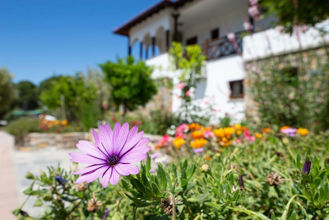 Apartament Garden House Psarogiannis Vourvourou Zewnętrze zdjęcie