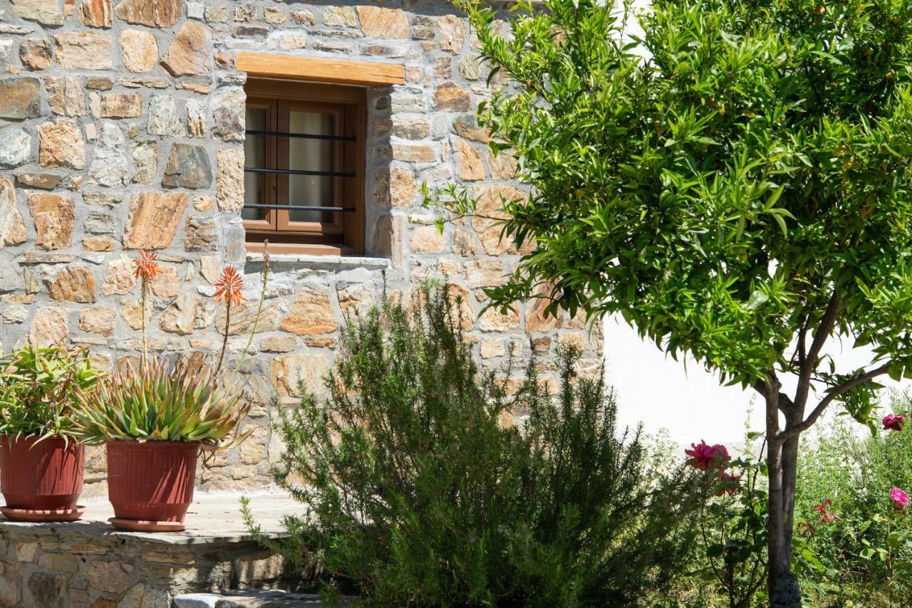 Apartament Garden House Psarogiannis Vourvourou Zewnętrze zdjęcie